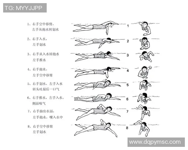 自由泳技巧提升全攻略从基础动作到高级技巧全面解析